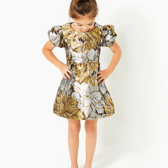 Lilly Pulitzer Other - Lilly Pulitzer Metallic Priyanka  Patterned luxurious  Dress⭐️
